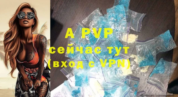 прущие крисы Верея