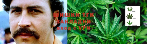 прущие крисы Верея